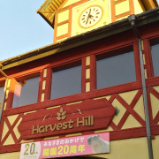 ハーベストの丘